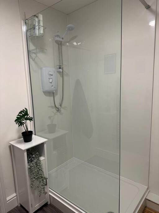 Cosy Authentic Flat In The Heart Of גאלאשילס מראה חיצוני תמונה